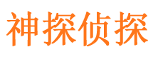 施甸市私家侦探